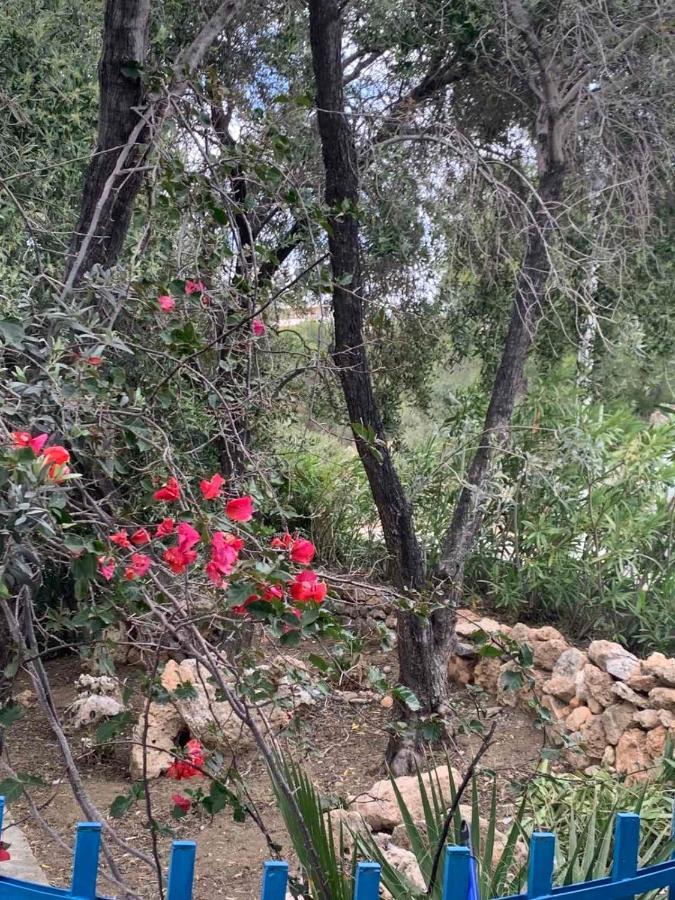 Villa Bellina Pefki المظهر الخارجي الصورة
