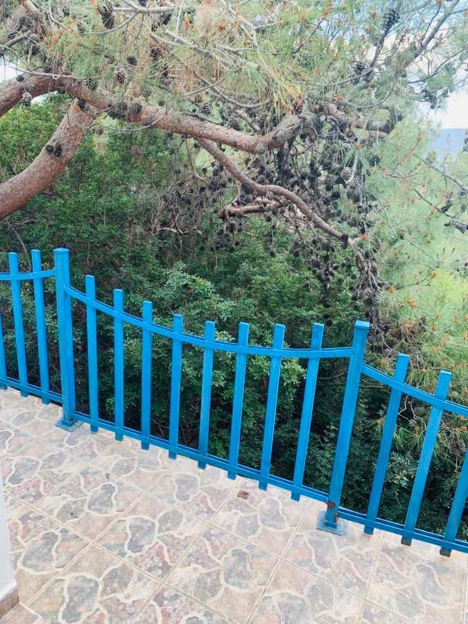 Villa Bellina Pefki المظهر الخارجي الصورة