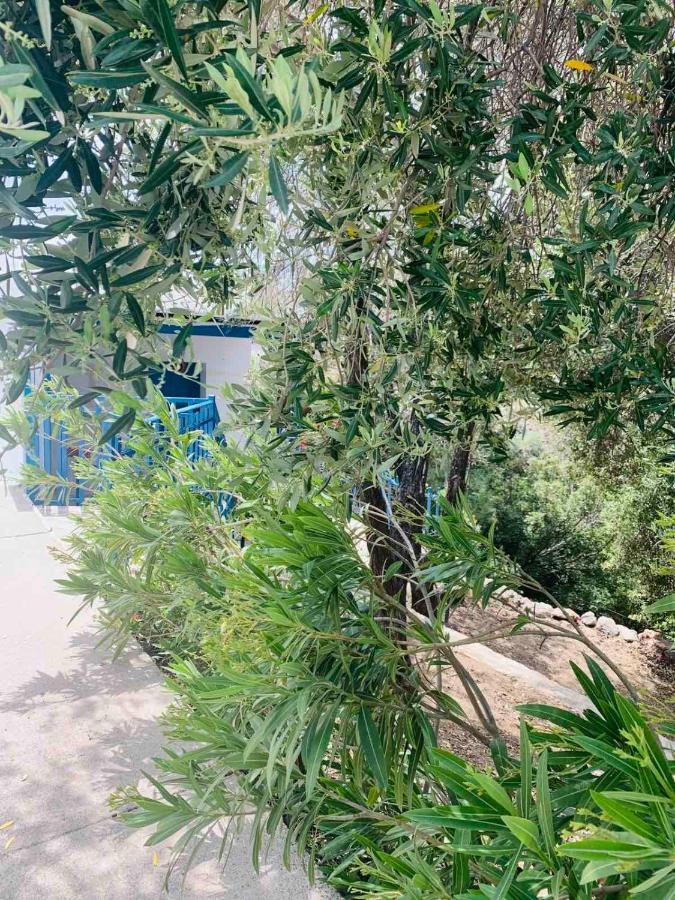 Villa Bellina Pefki المظهر الخارجي الصورة