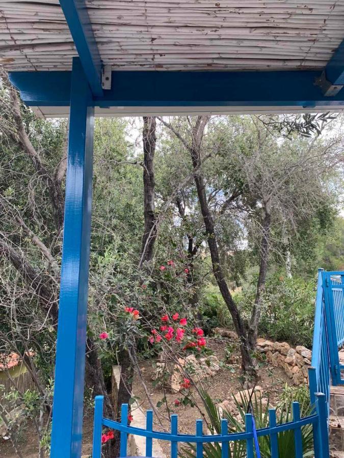 Villa Bellina Pefki المظهر الخارجي الصورة